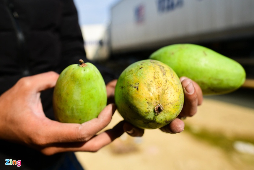 xe container un u vi tac bien, cua khau Lang Son un tac, nong san xuat khau anh 15