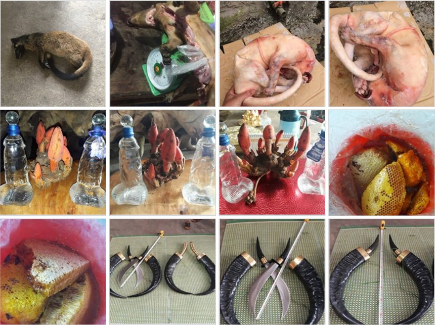 Hang cam, tien gia, hoi anh sexy tran lan tren Facebook Viet Nam hinh anh 5