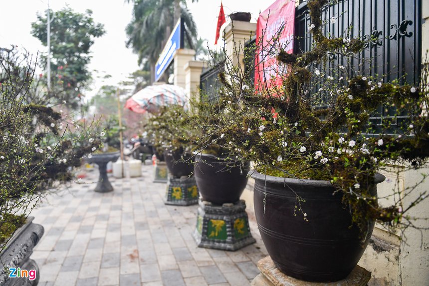 Mai boc reu tren thuyen doc moc gia 300 trieu o Ha Noi anh 8