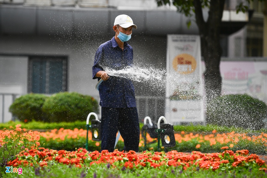 duong hoa Nguyen Hue 2021 anh 10