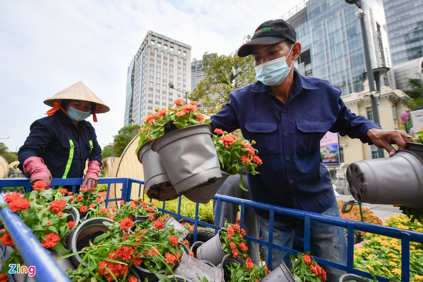 duong hoa Nguyen Hue 2021 anh 4