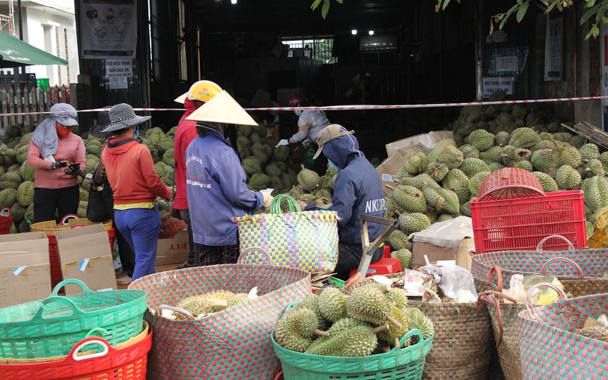 Xay dung kho dong bao quan sau rieng anh 3
