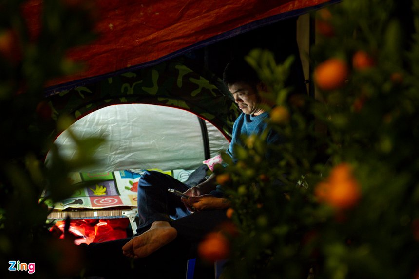 trong cay canh Tet ban dem anh 8