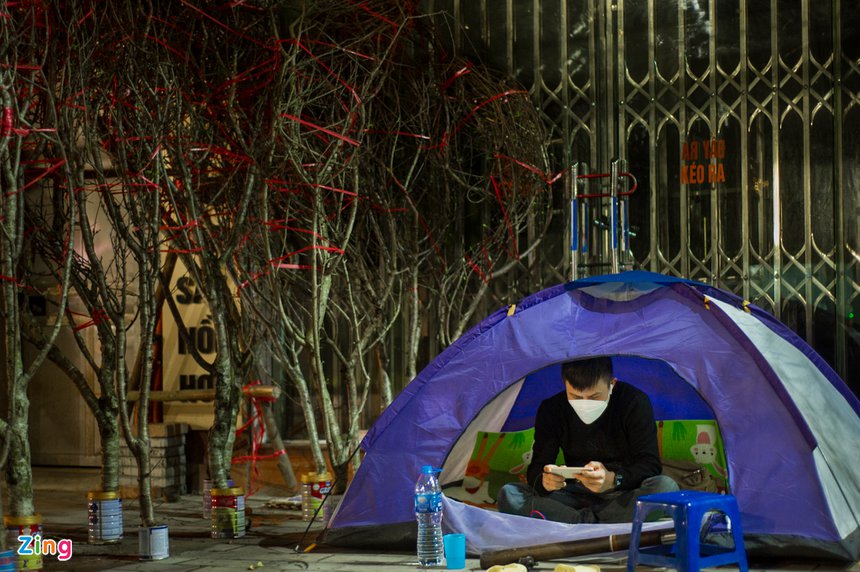 trong cay canh Tet ban dem anh 4