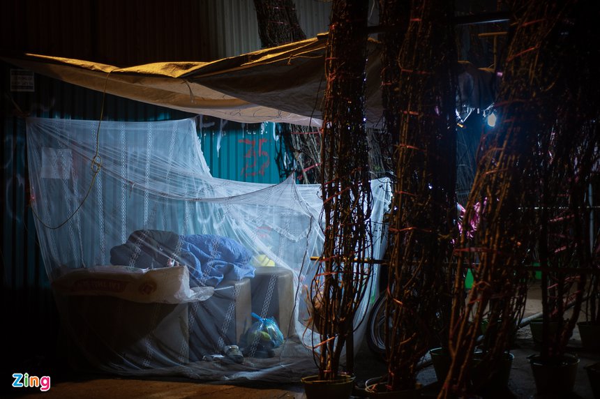 trong cay canh Tet ban dem anh 10