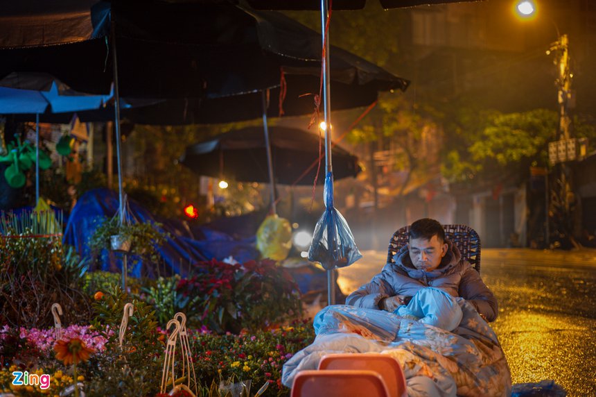 trong cay canh Tet ban dem anh 7