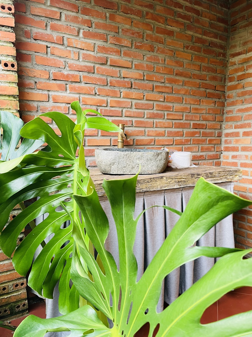 Nguoi me tre o Dak Lak dung nha trong rau trong dich anh 13