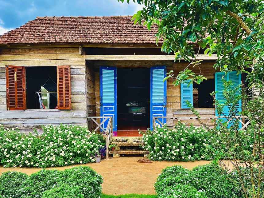 Nguoi me tre o Dak Lak dung nha trong rau trong dich anh 1