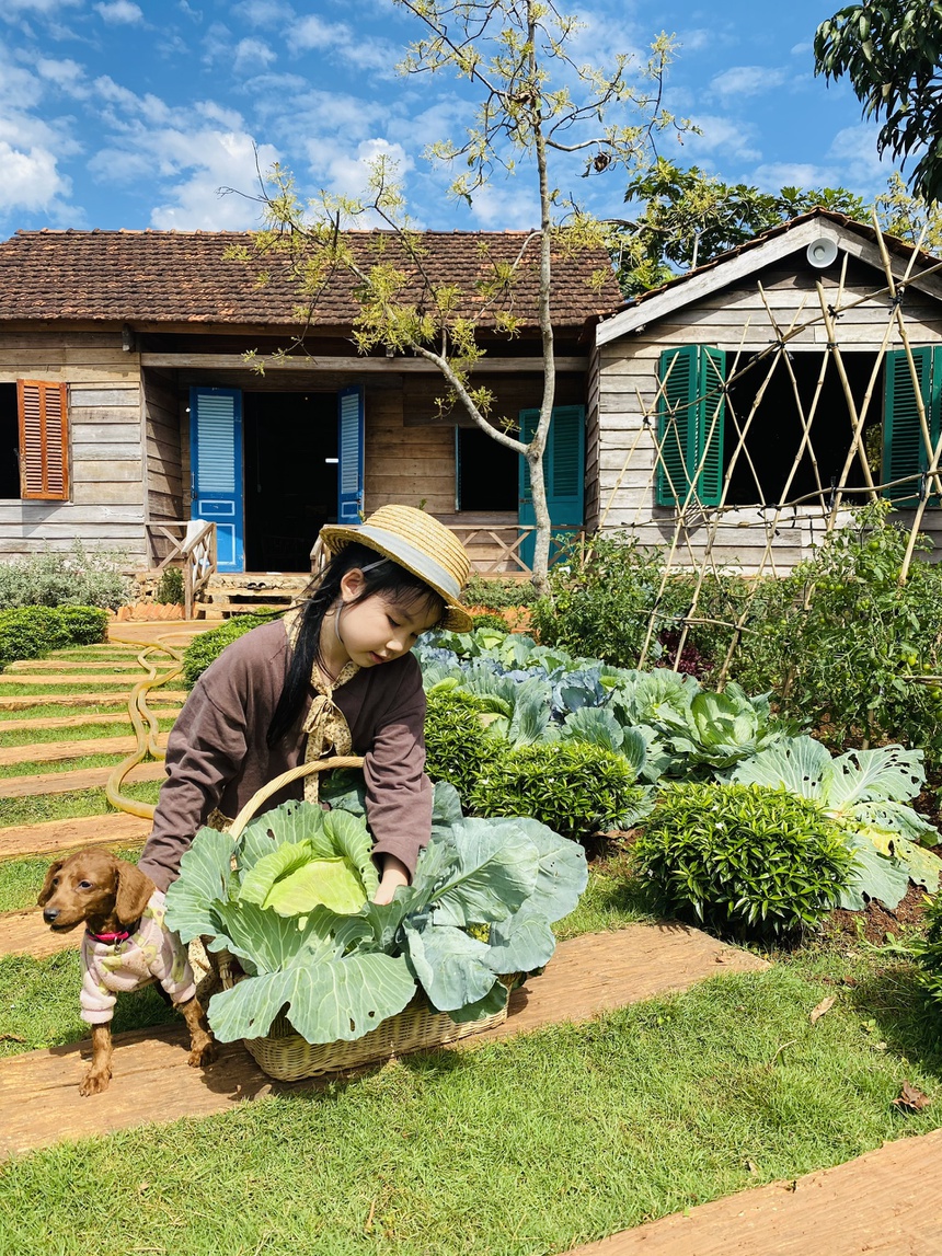 Nguoi me tre o Dak Lak dung nha trong rau trong dich anh 9