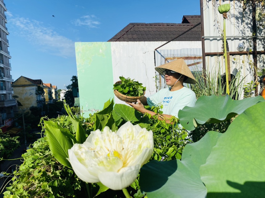 Trong rau tren san thuong anh 6