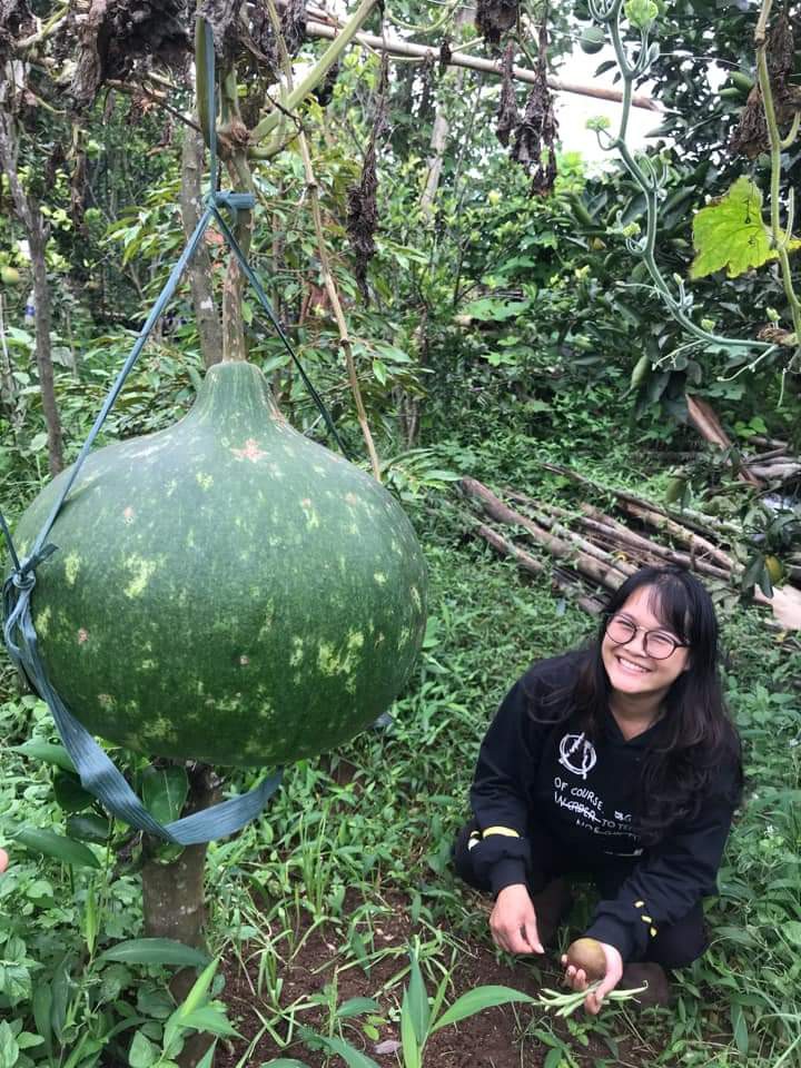 Ket lai trong dich anh 4