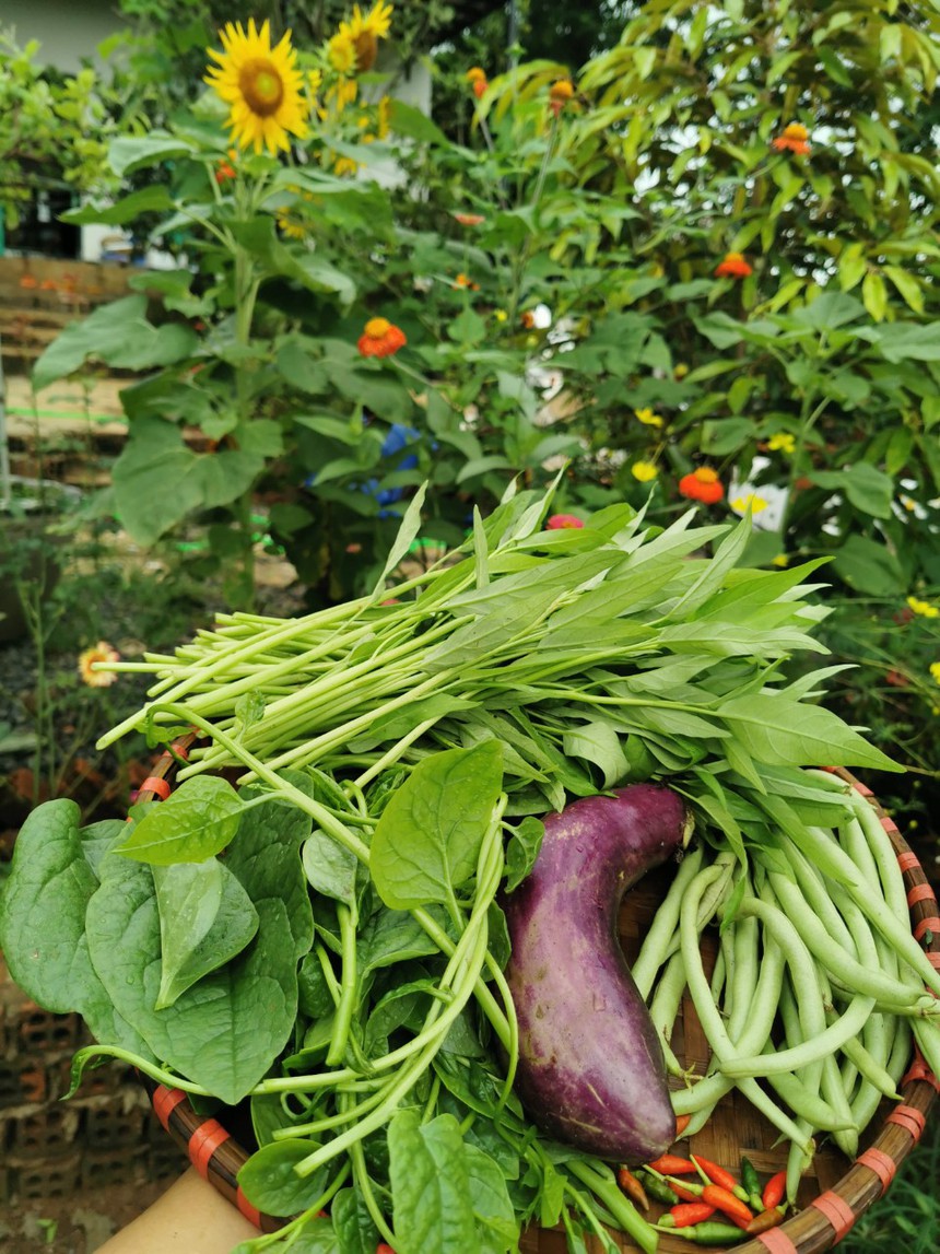 Ket lai trong dich anh 5