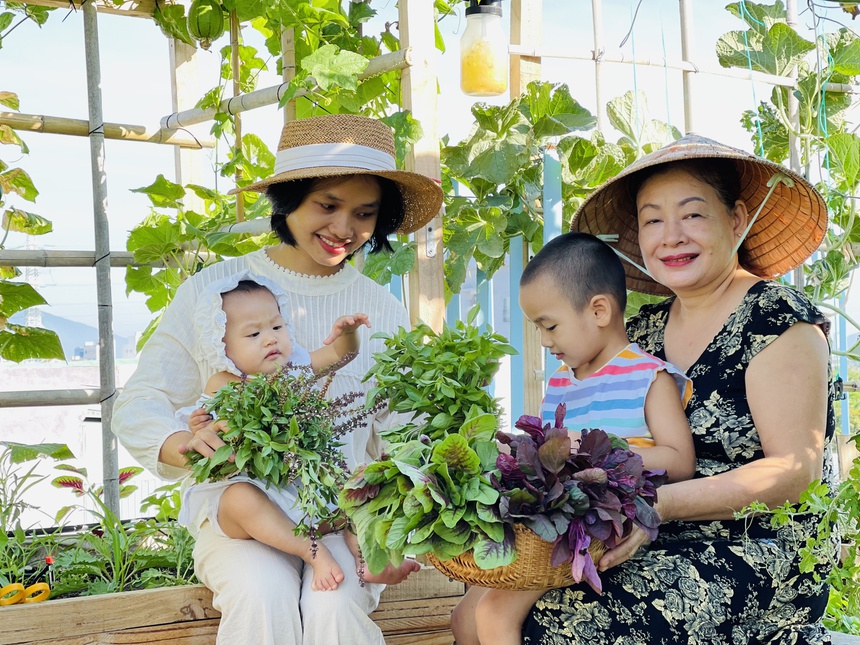 trong rau tren san thuong anh 1