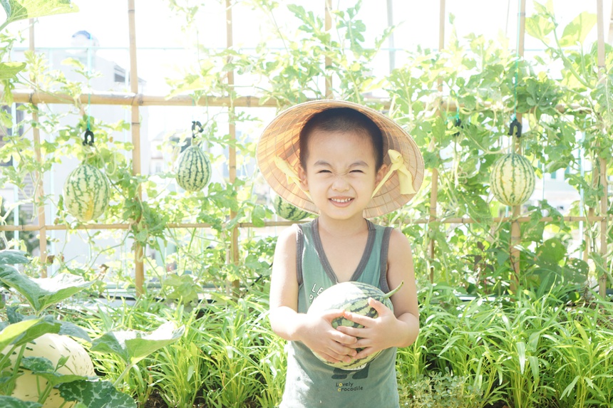 trong rau tren san thuong anh 15