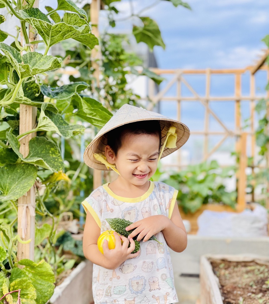 trong rau tren san thuong anh 7