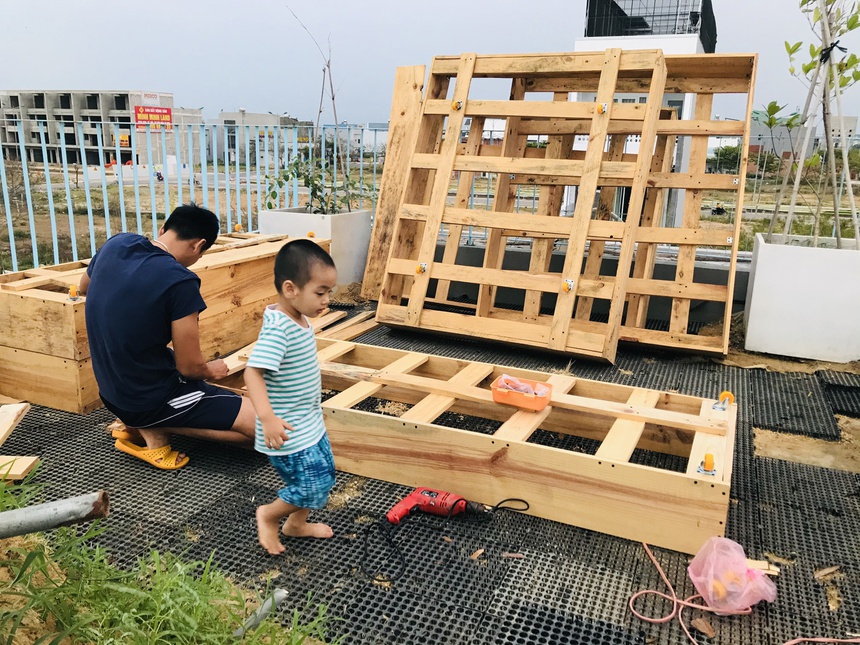 trong rau tren san thuong anh 9
