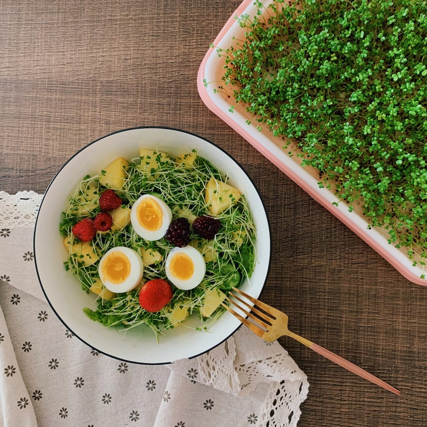 trai cay, banh an sang, salad anh 6