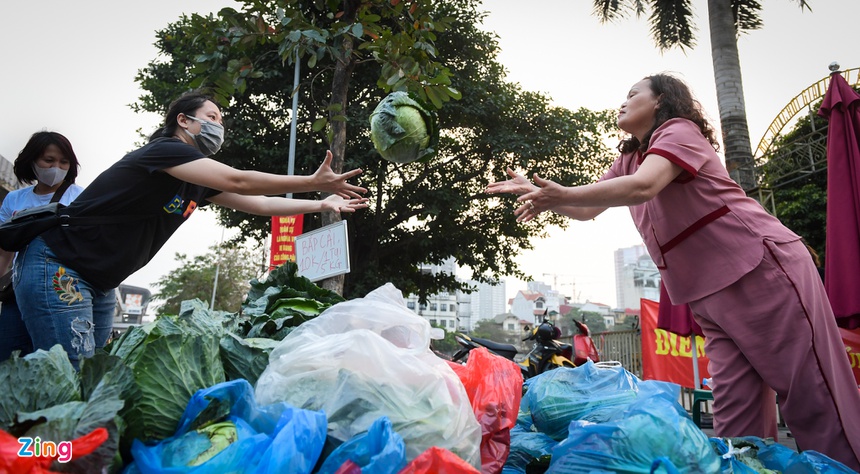 giai cuu nong san Hai Duong anh 4