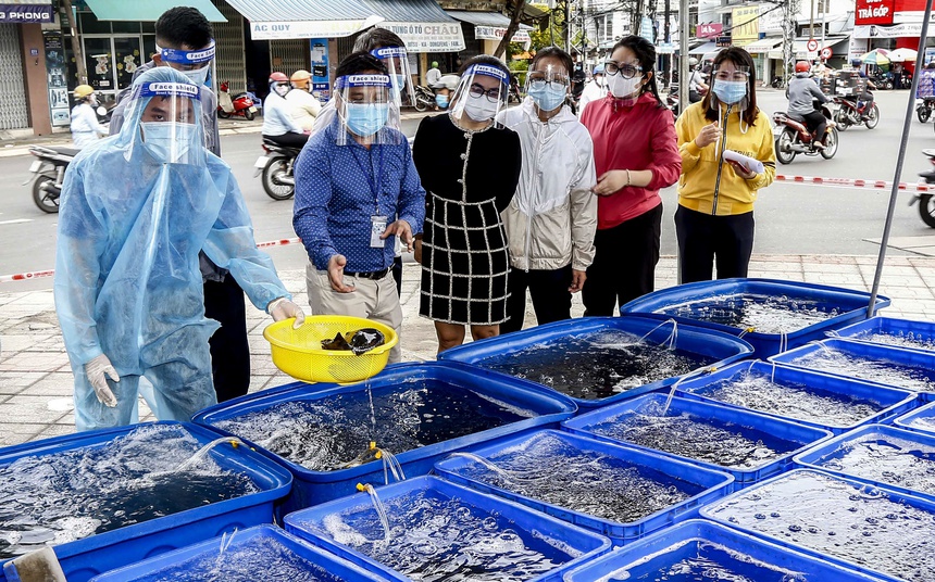 gia ca mu bong anh 2