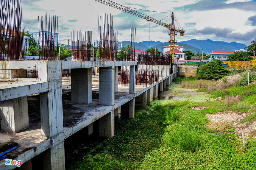 dat vang bo hoang o Nha Trang anh 8