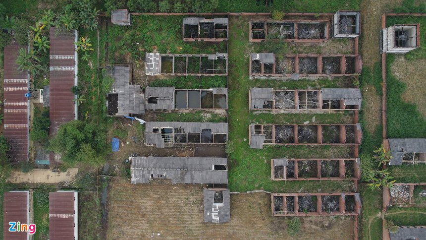 du an nha may xi mang thanh son anh 1