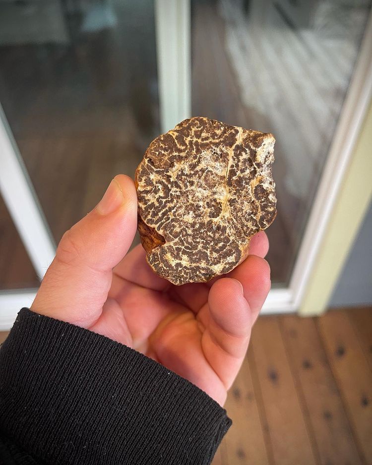 nguyen lieu lam dep dat nhat hanh tinh anh 11