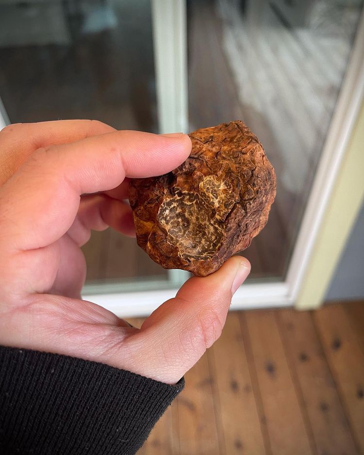 nguyen lieu lam dep dat nhat hanh tinh anh 10