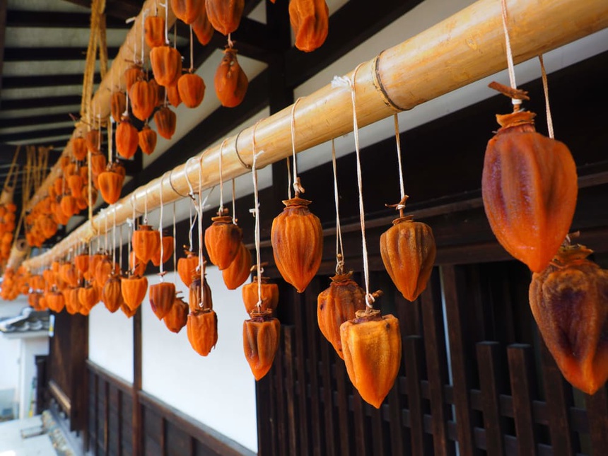 7 thuc qua dac trung moi mua thu o Nhat Ban anh 5