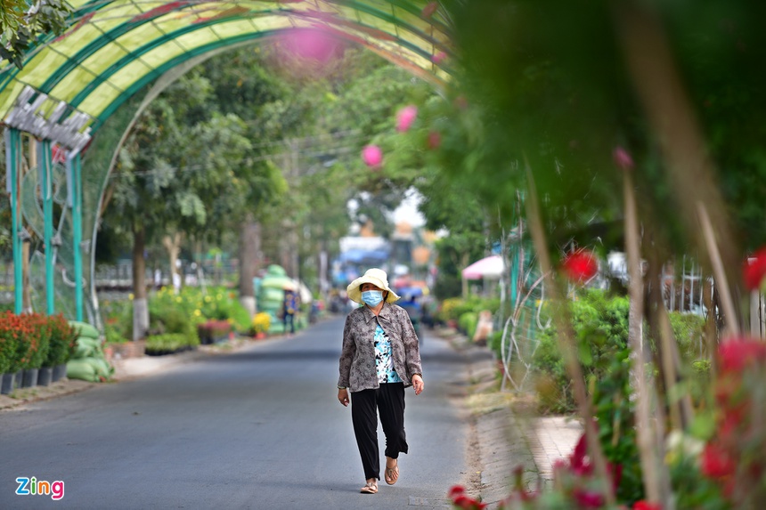 Lang hoa Sa Dec vang ve anh 7