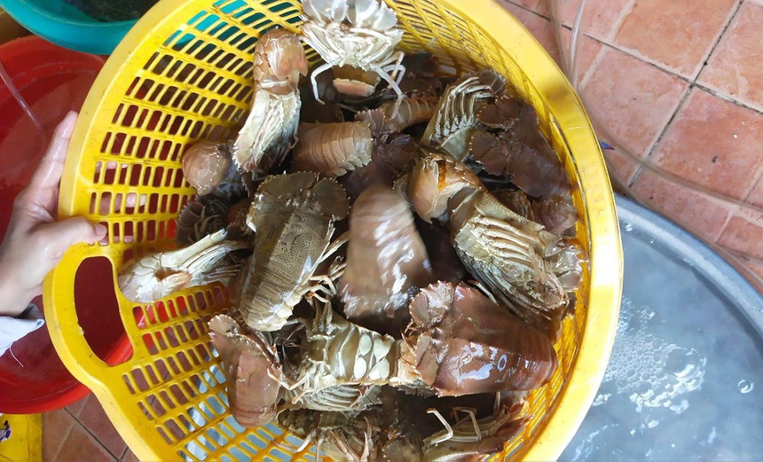 Hai san Phu Quoc giam gia anh 1