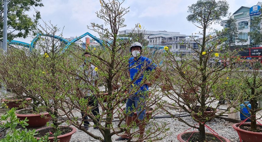 Mai vang gia 7 ty dong o An Giang anh 3