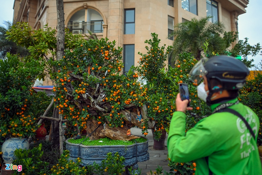 Buoi Dien, dao rung thu hut khach dip Tet anh 12