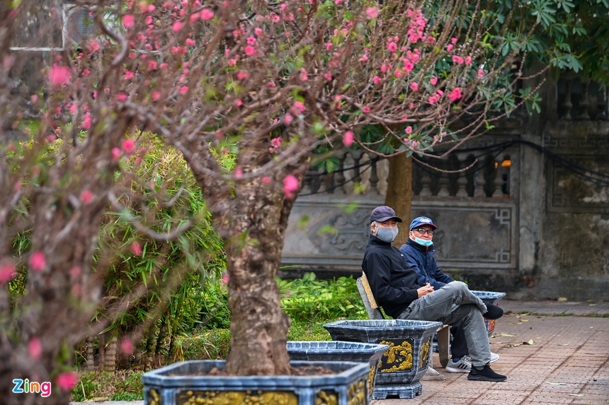 Buoi Dien, dao rung thu hut khach dip Tet anh 14