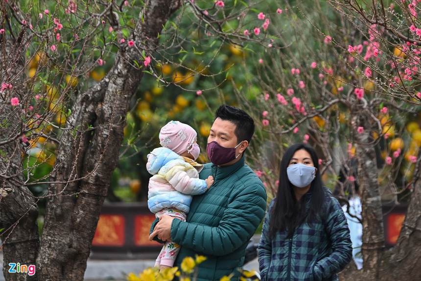 Buoi Dien, dao rung thu hut khach dip Tet anh 1