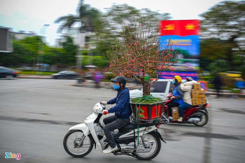 Buoi Dien, dao rung thu hut khach dip Tet anh 8
