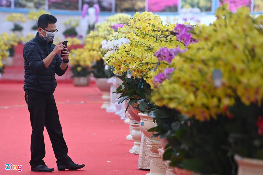 Lan ho diep gia gan 1 ty dong anh 8