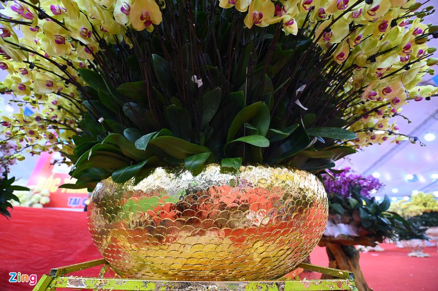 Lan ho diep gia gan 1 ty dong anh 6