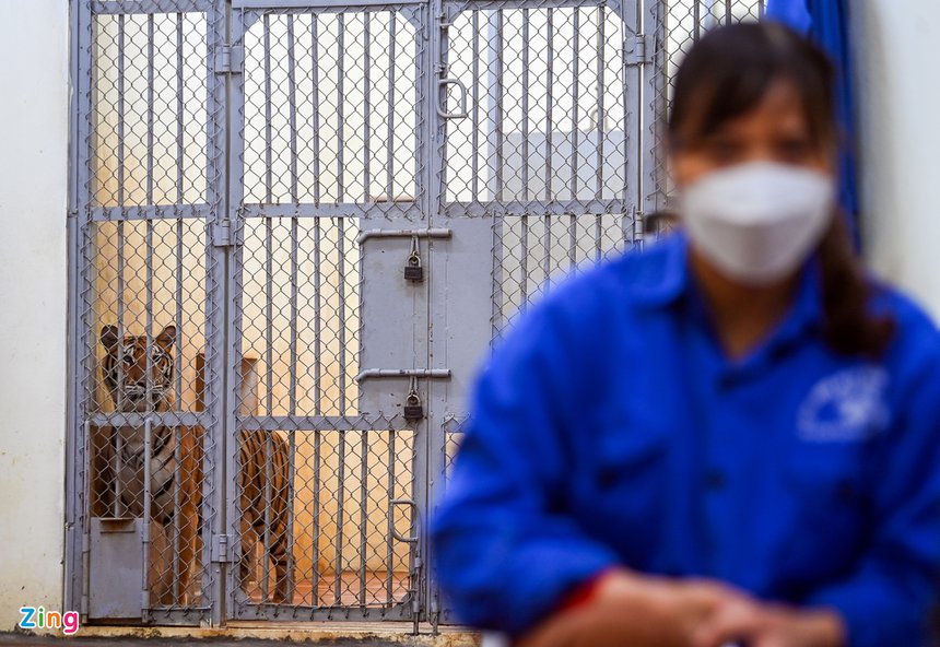 Nguoi cham ho vuon thu Ha Noi anh 13