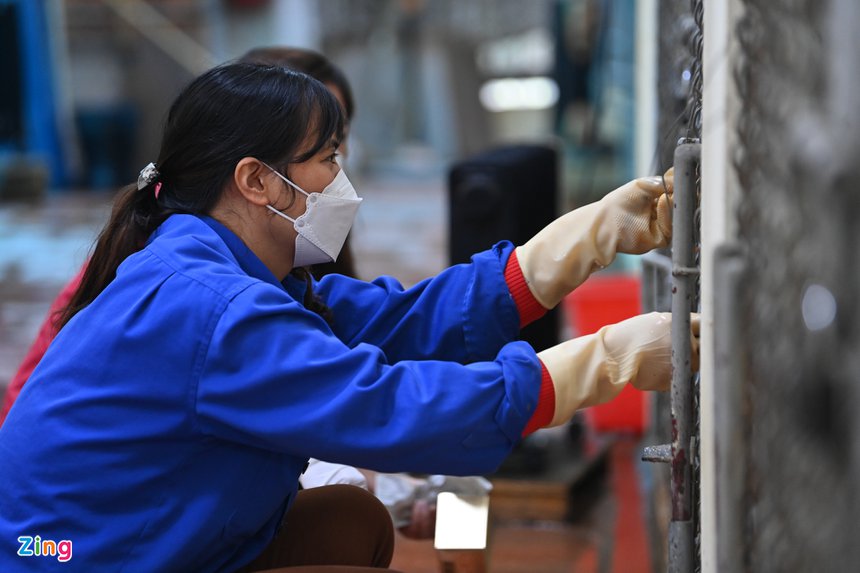 Nguoi cham ho vuon thu Ha Noi anh 15