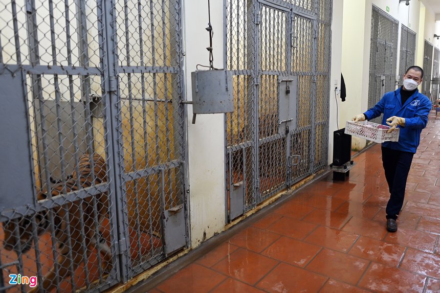 Nguoi cham ho vuon thu Ha Noi anh 3