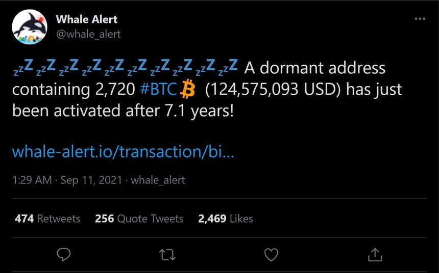 'Ca voi' Bitcoin kich hoat vi sau gan 8 nam ngung hoat dong anh 1