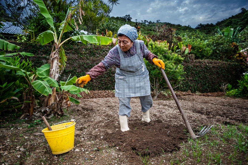 Lang truong tho Nhat Ban anh 12