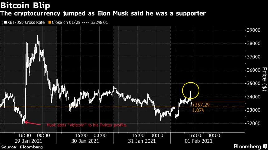 Elon Musk, tien bitcoin anh 2