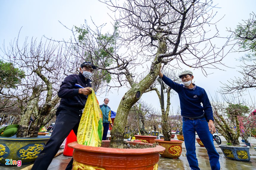 Dao Tet, Tet Nguyen dan, cho hoa, cho hoa tet, Quang Ninh, Ha Long, dao da, nhat chi mai anh 2