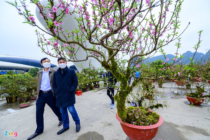 Dao Tet, Tet Nguyen dan, cho hoa, cho hoa tet, Quang Ninh, Ha Long, dao da, nhat chi mai anh 6