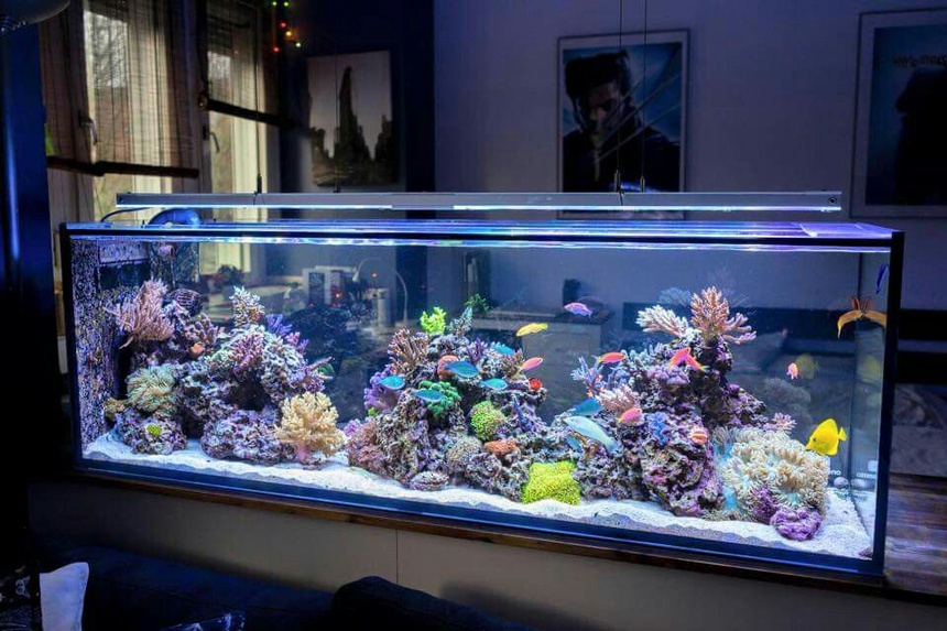 vat dung lam cham ket noi wifi anh 5