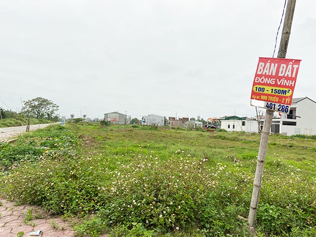 bat dong san chungF0 bat dong sanco nen mua bat dong san anh 1