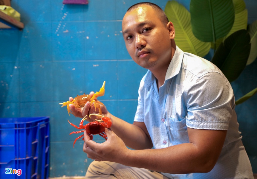 Kiem tram trieu nho nuoi cua nhieu mau anh 11