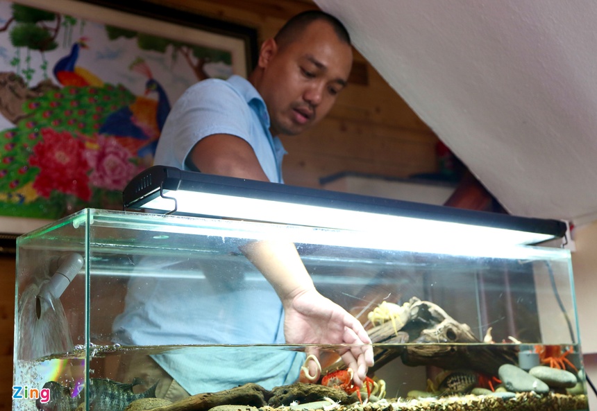 Kiem tram trieu nho nuoi cua nhieu mau anh 3