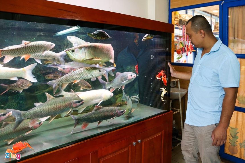 Kiem tram trieu nho nuoi cua nhieu mau anh 7